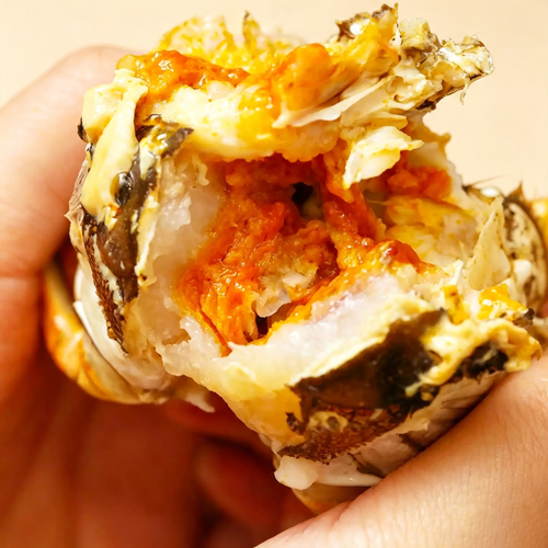 Chinese Mitten Crab