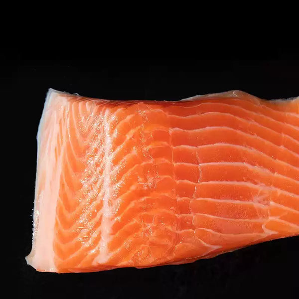 Frozen Salmon Fillet