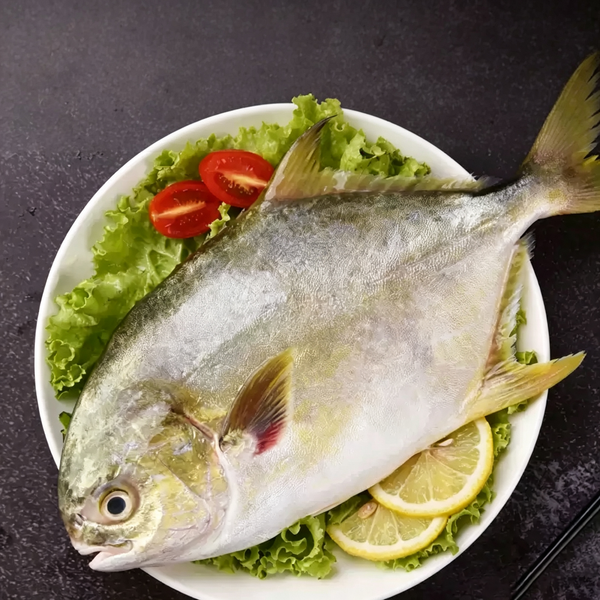 Frozen Whole Golden Pomfret
